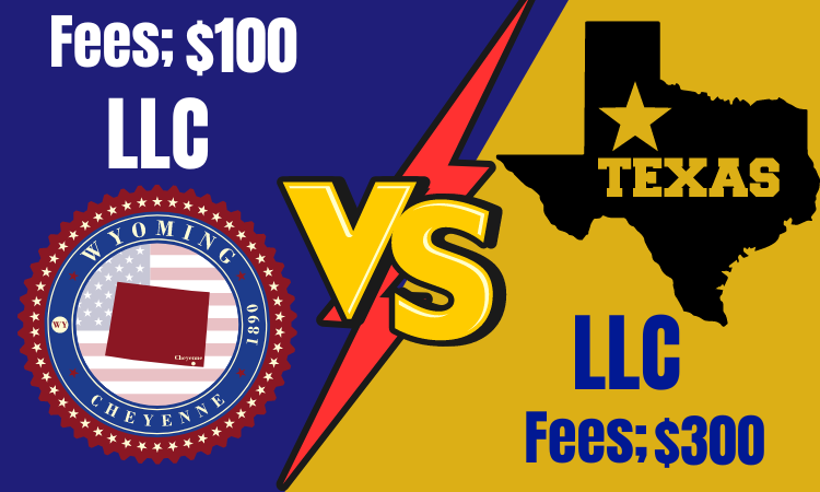 Wyoming LLC vs Texas