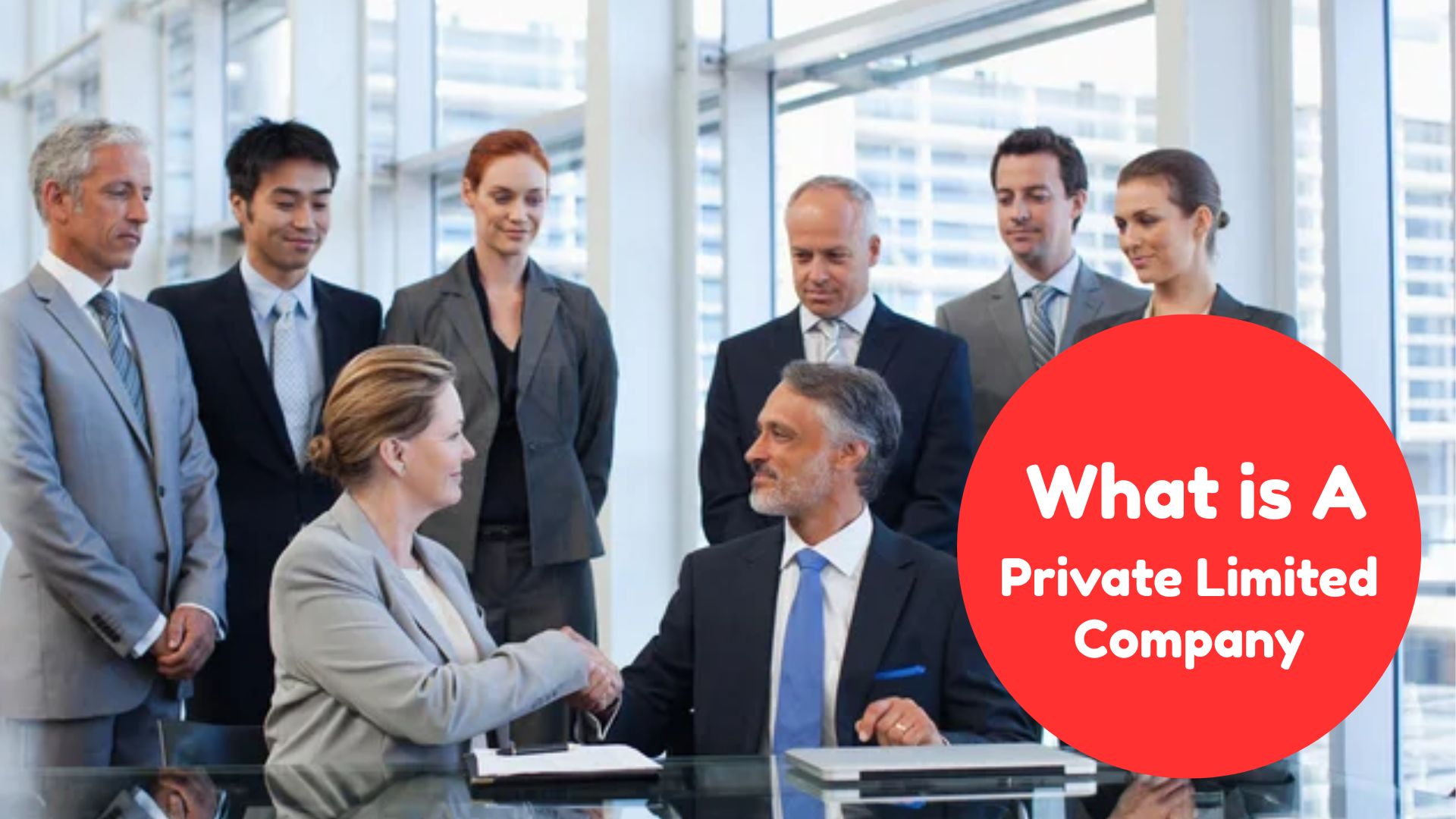 What is a Private Limited Company?